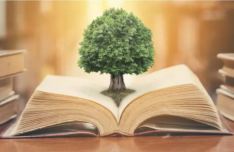 کتاب و کتابخوانی: کلید ورود به دنیای دانش و توسعه مهارتهای زندگی