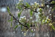 بارش‌های زمستانی به وقت بهار در مازندران