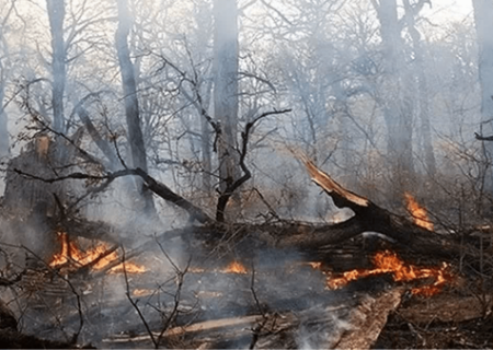 شکارچیان عامل احتمالی آتش‌سوزی خیبوس سوادکوه‌شمالی