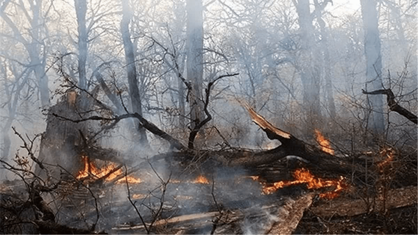 شکارچیان عامل احتمالی آتش‌سوزی خیبوس سوادکوه‌شمالی